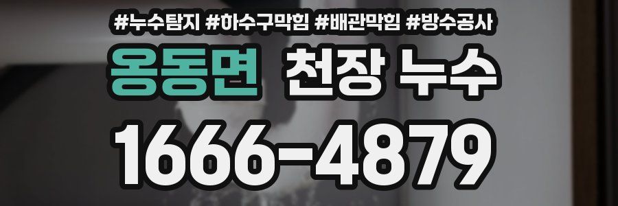 옹동면 천장 누수