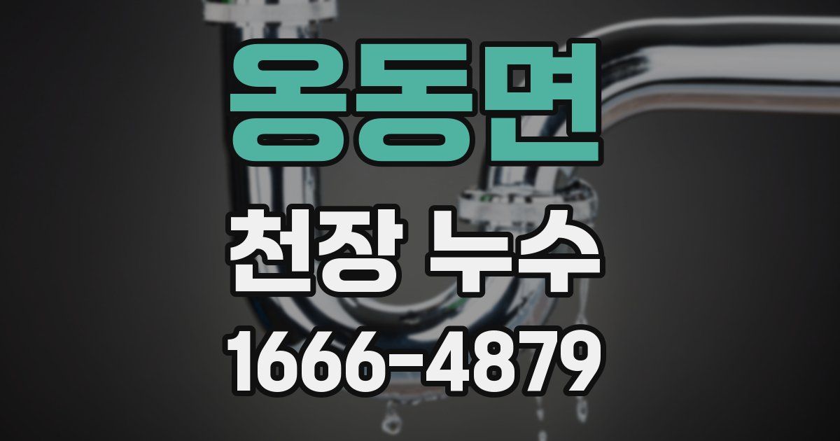 옹동면 천장 누수