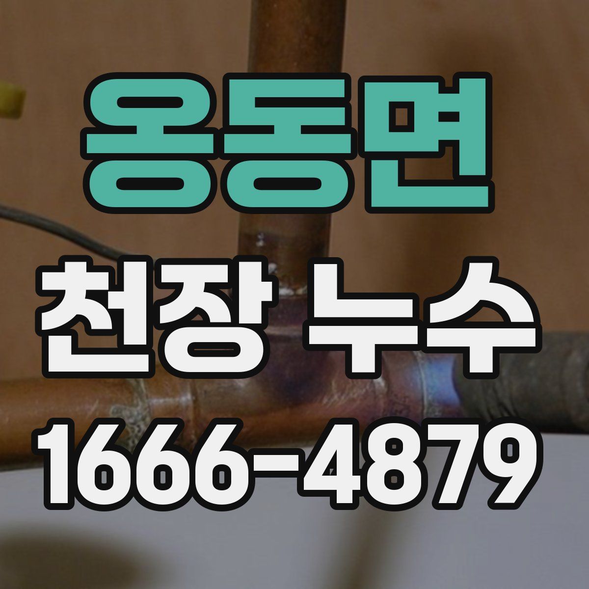 옹동면 천장 누수
