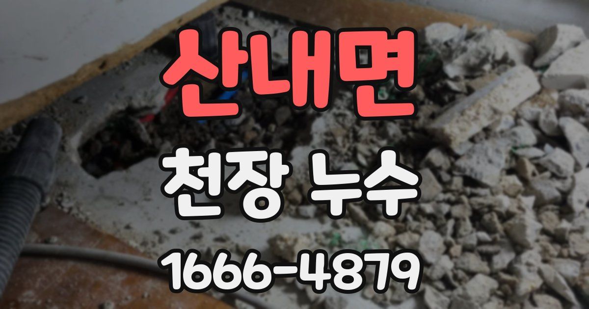산내면 천장 누수