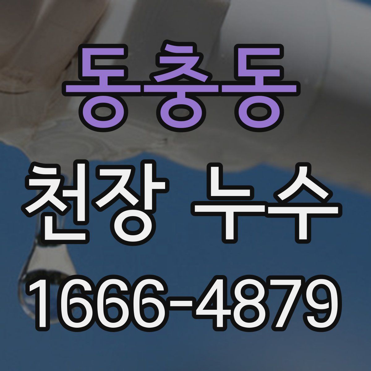 동충동 천장 누수