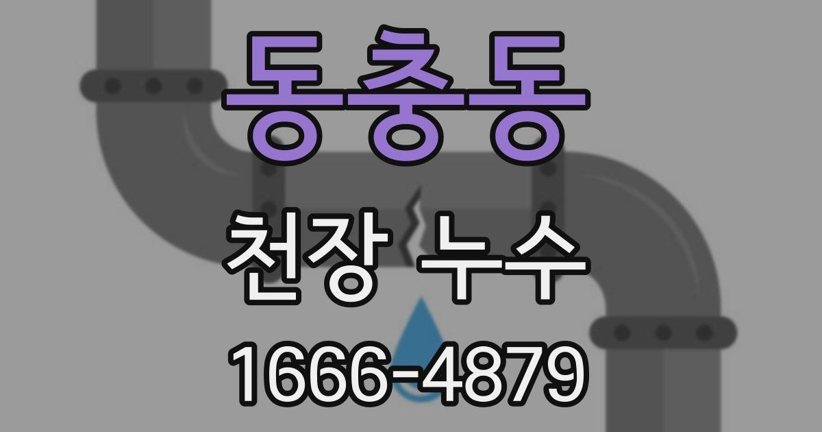 동충동 천장 누수
