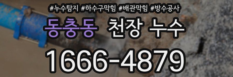 동충동 천장 누수