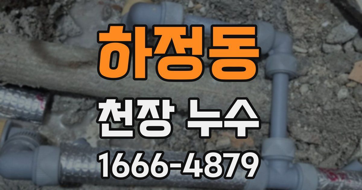 하정동 천장 누수