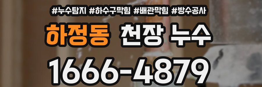 하정동 천장 누수