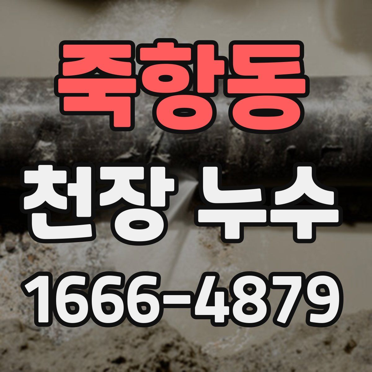 죽항동 천장 누수