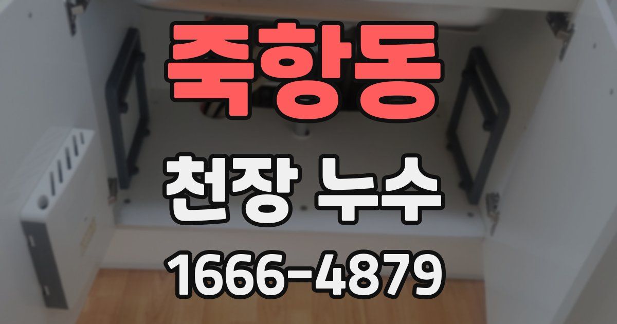 죽항동 천장 누수