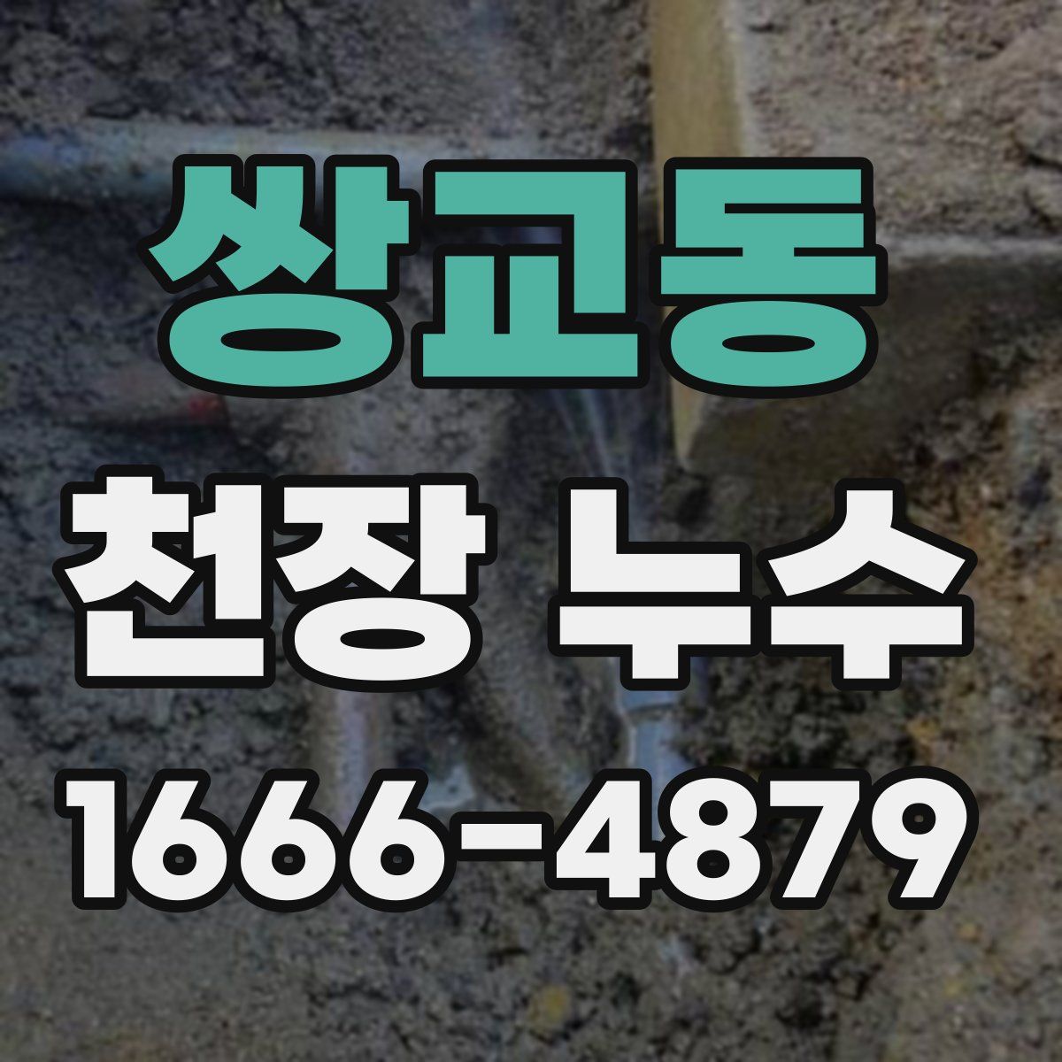 쌍교동 천장 누수