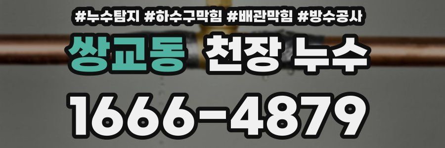 쌍교동 천장 누수