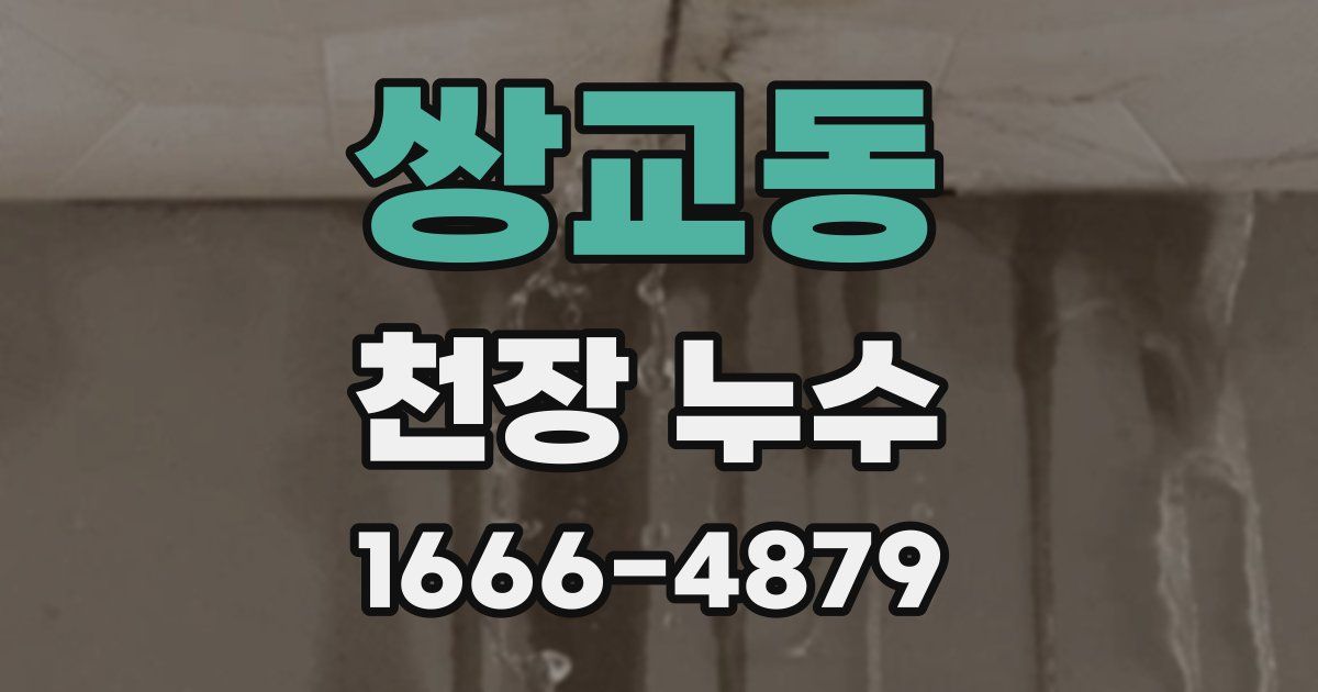 쌍교동 천장 누수