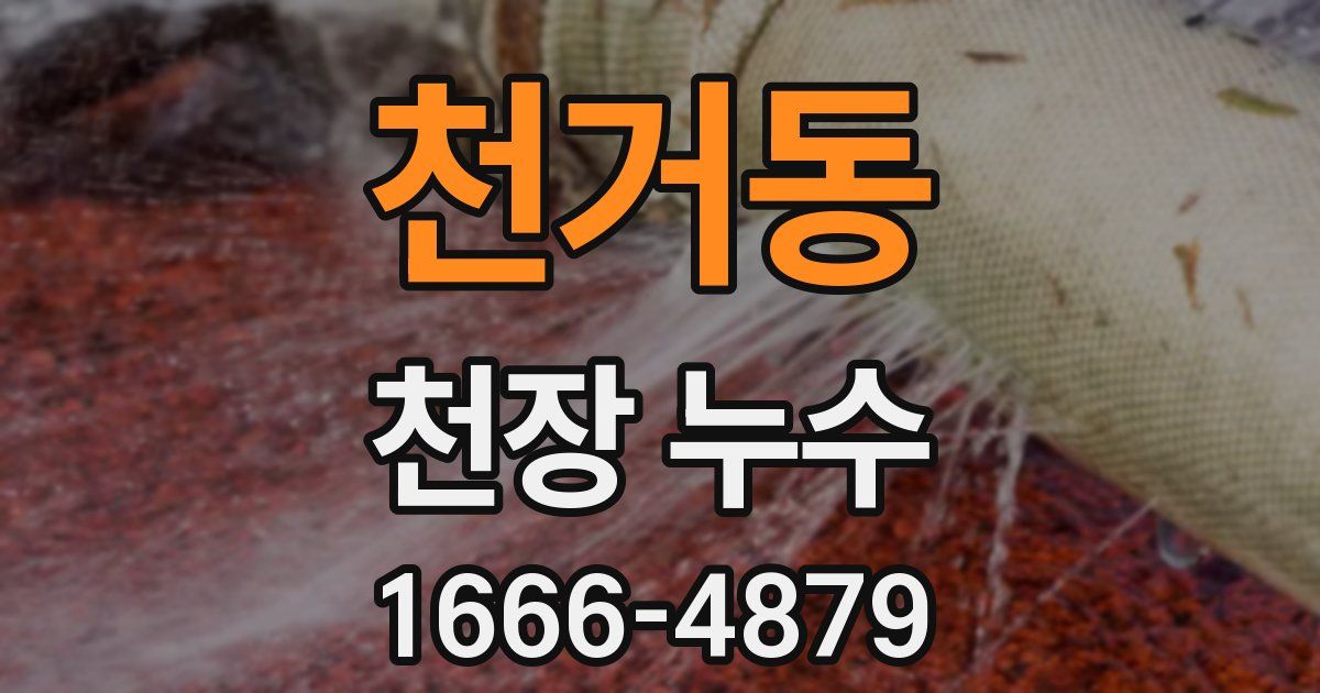 천거동 천장 누수