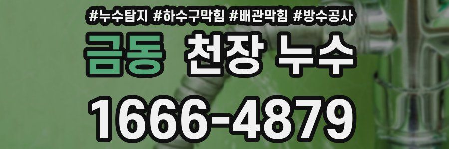 금동 천장 누수