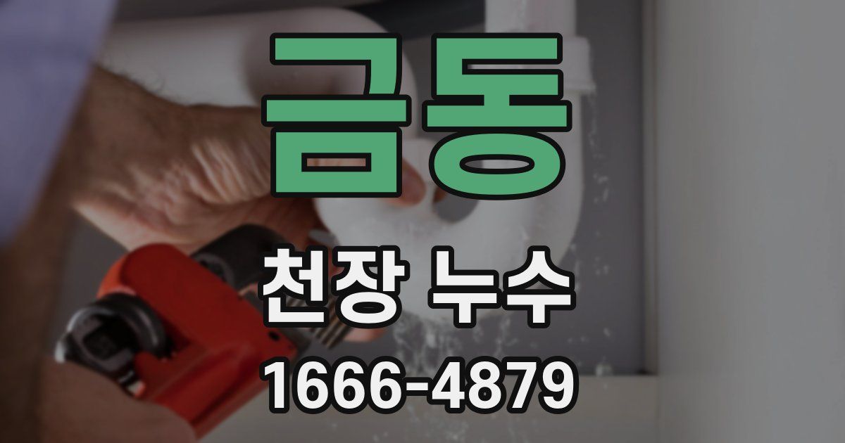 금동 천장 누수