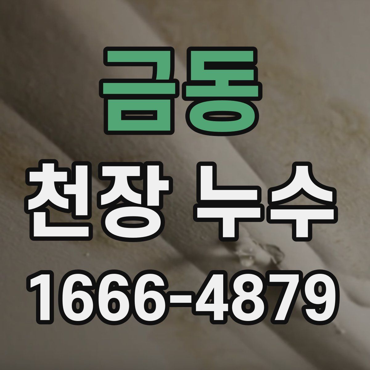금동 천장 누수
