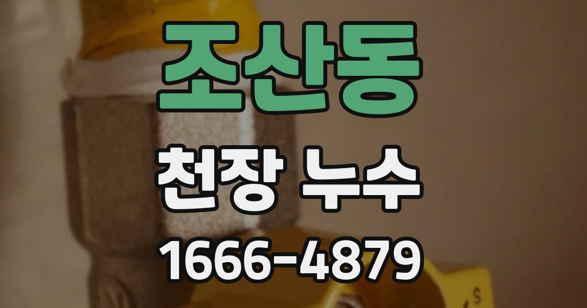 조산동 천장 누수