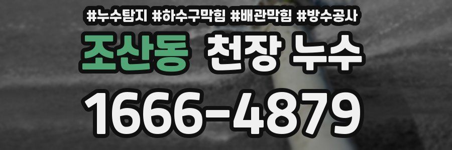 조산동 천장 누수