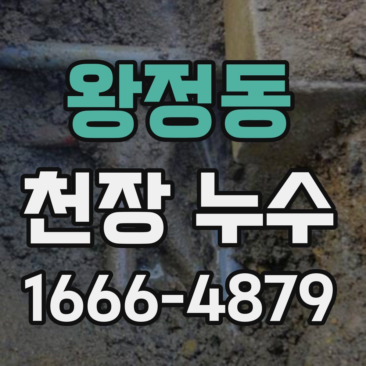 왕정동 천장 누수