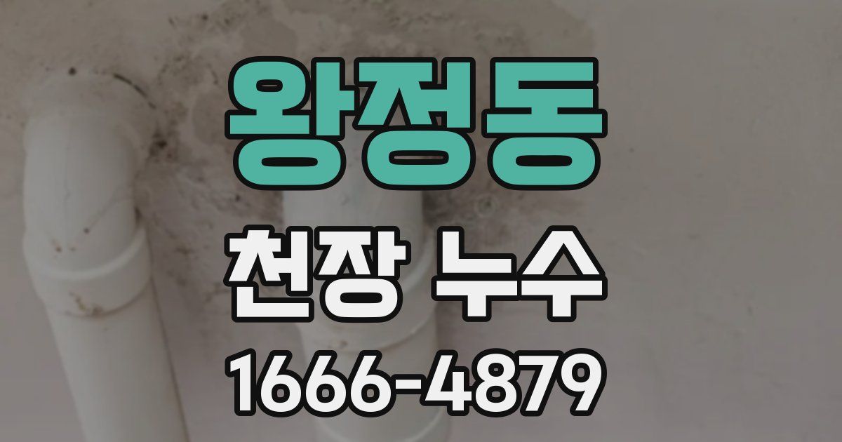 왕정동 천장 누수
