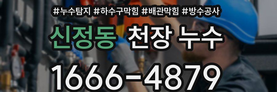 신정동 천장 누수
