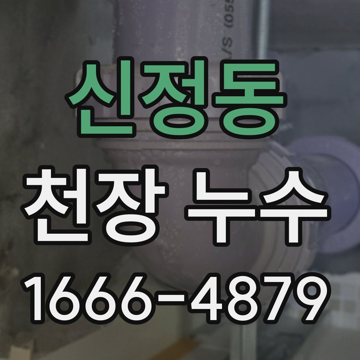 신정동 천장 누수
