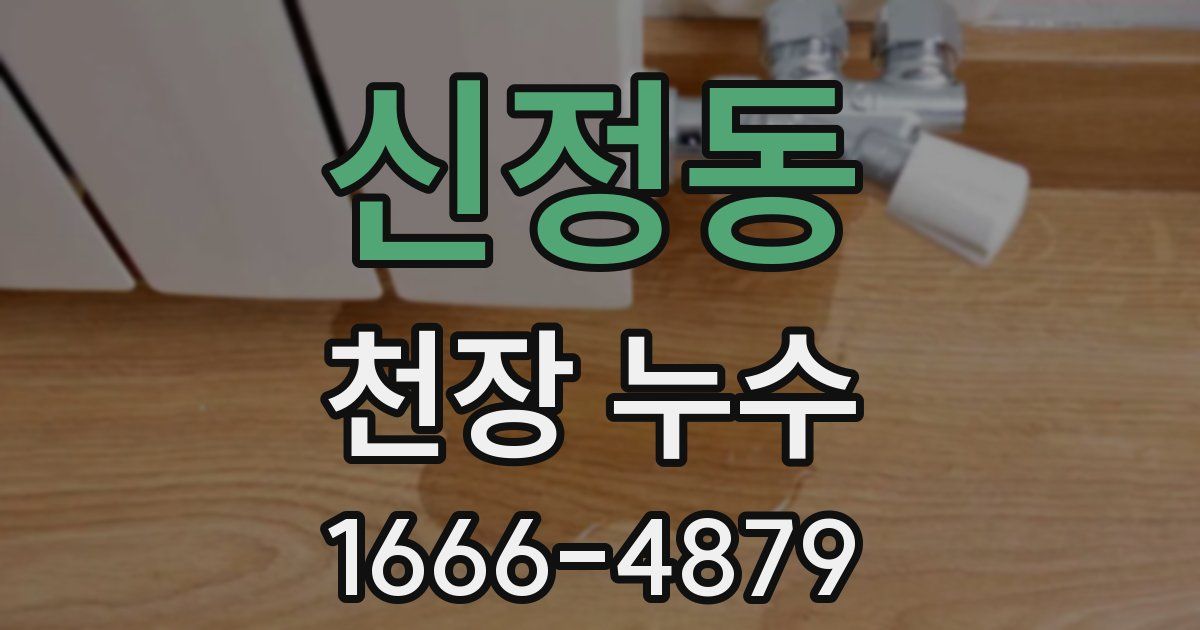 신정동 천장 누수