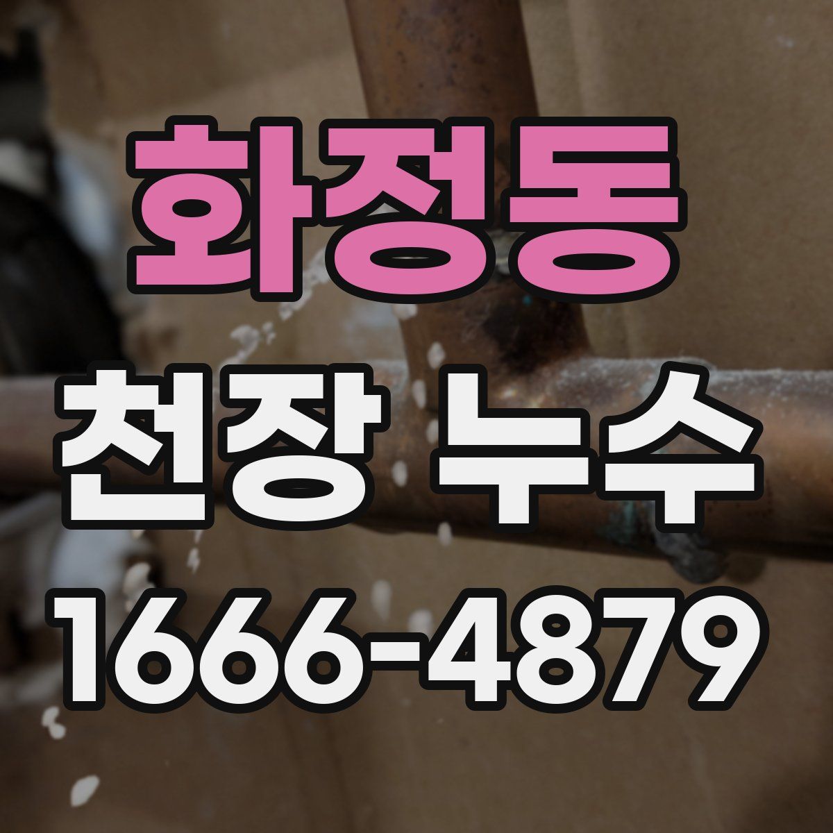 화정동 천장 누수