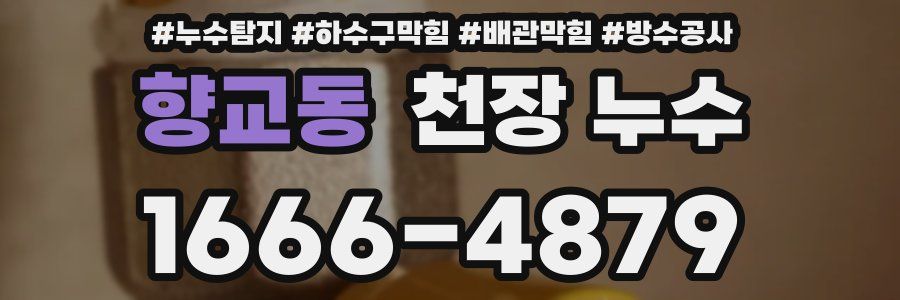 향교동 천장 누수