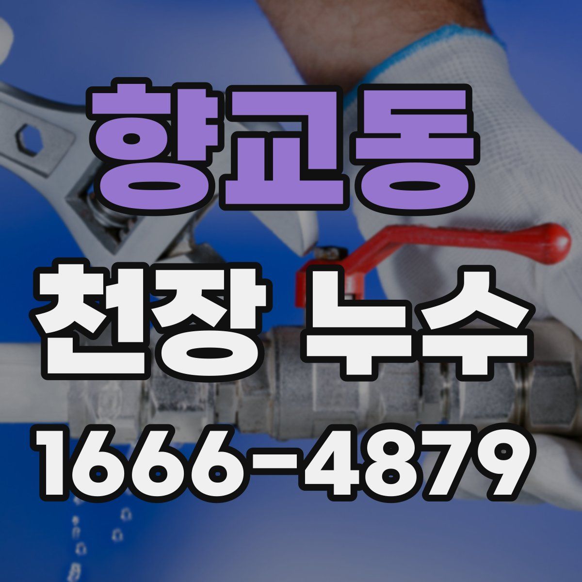향교동 천장 누수