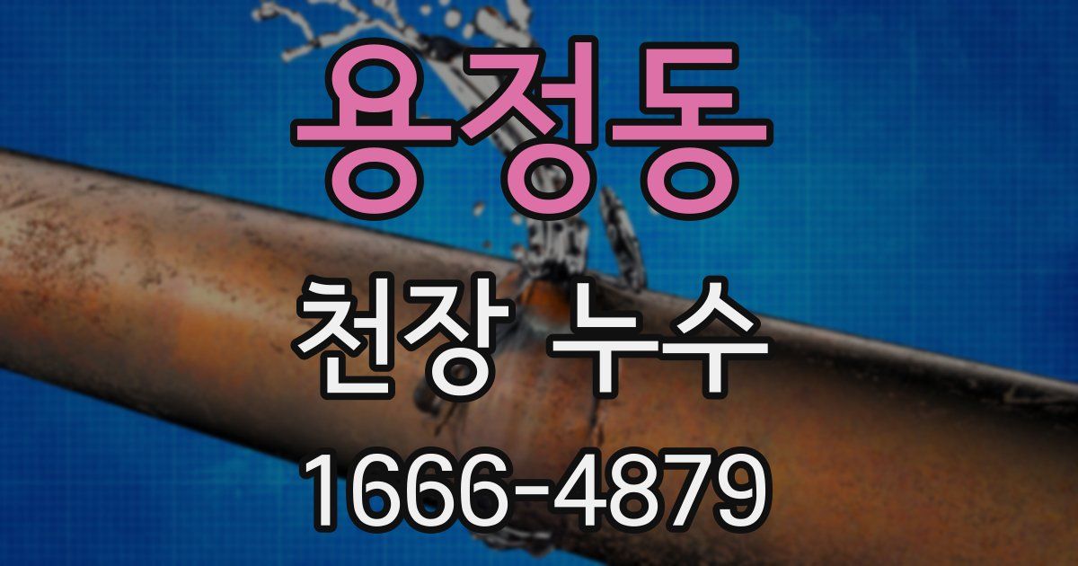 용정동 천장 누수