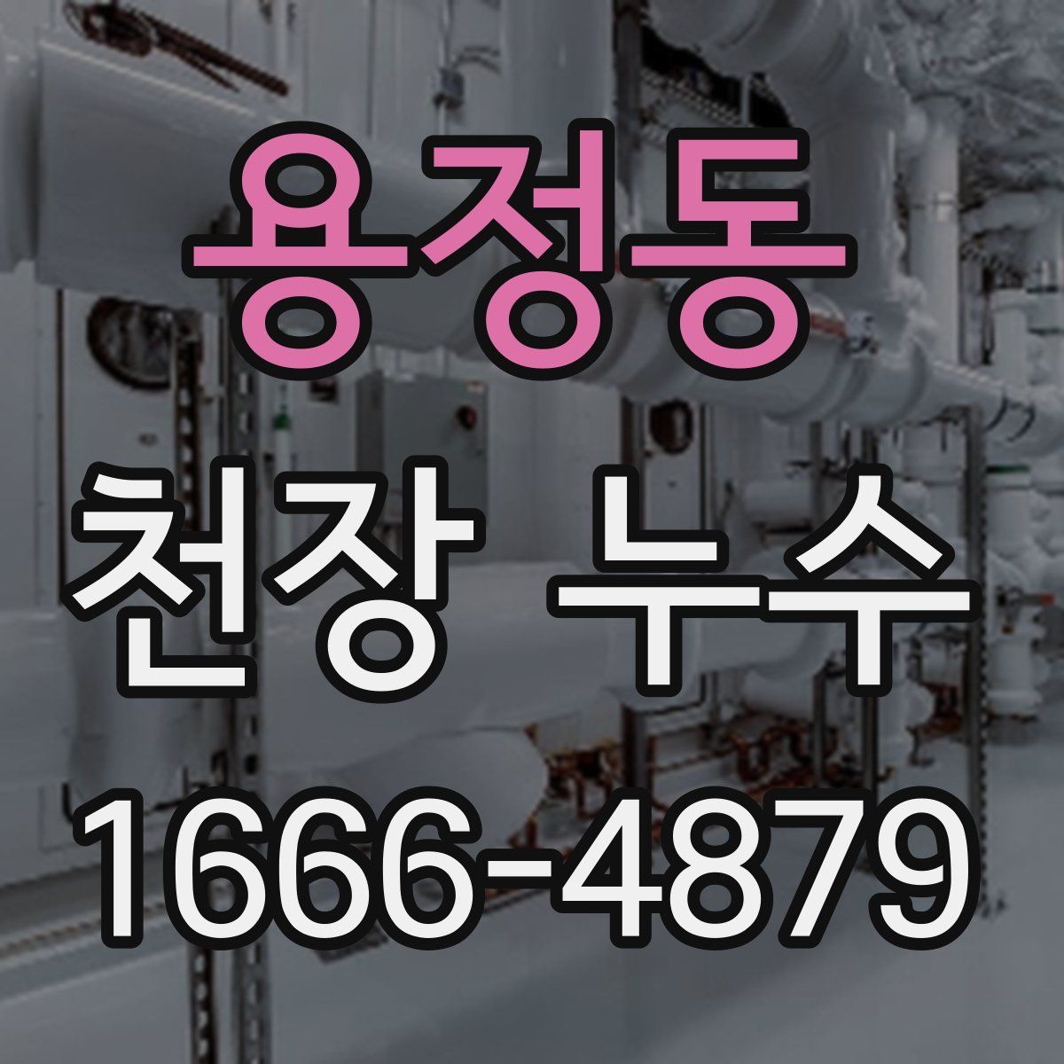 용정동 천장 누수