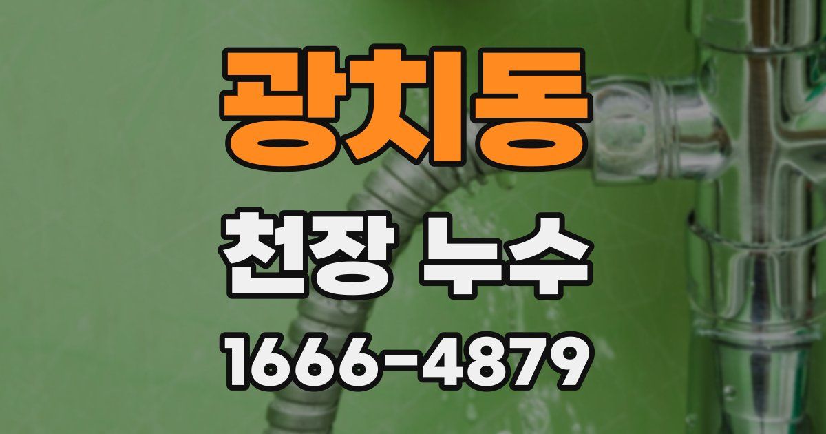 광치동 천장 누수