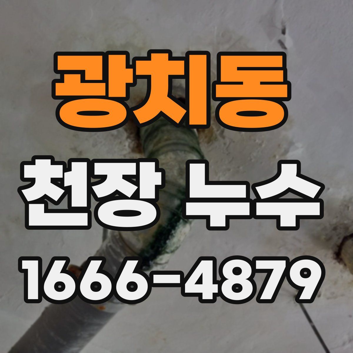 광치동 천장 누수