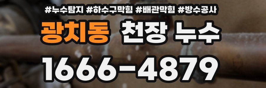 광치동 천장 누수