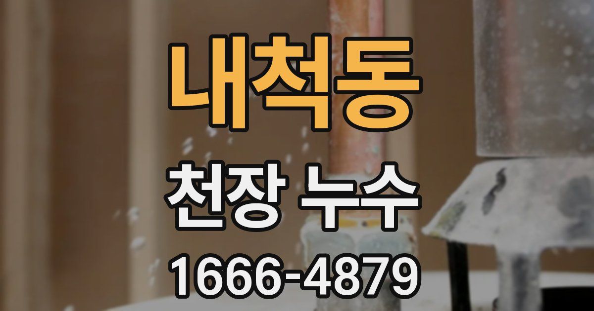 내척동 천장 누수