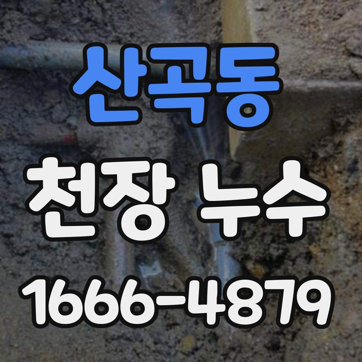 산곡동 천장 누수