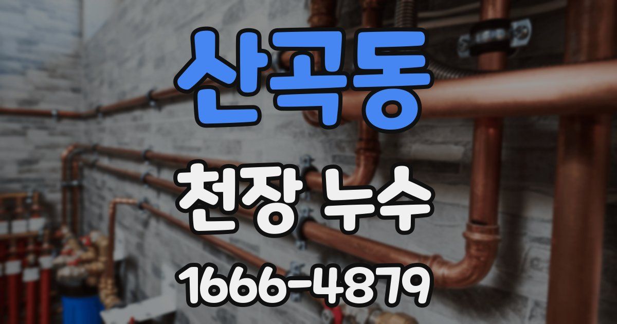산곡동 천장 누수
