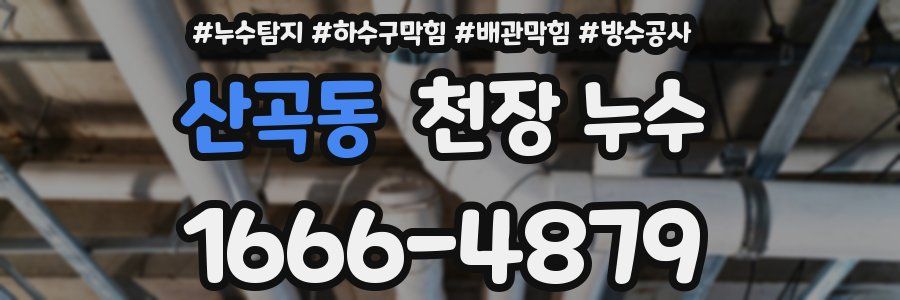 산곡동 천장 누수