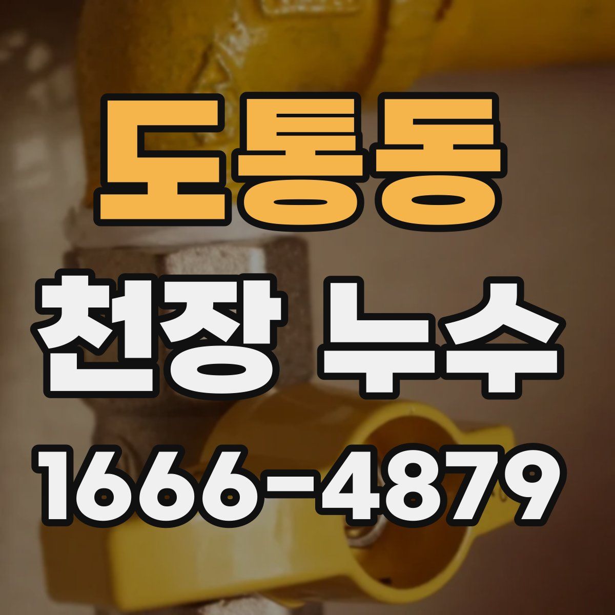 도통동 천장 누수