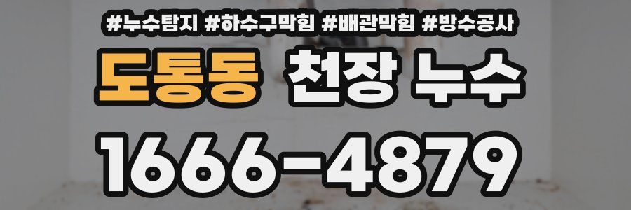 도통동 천장 누수