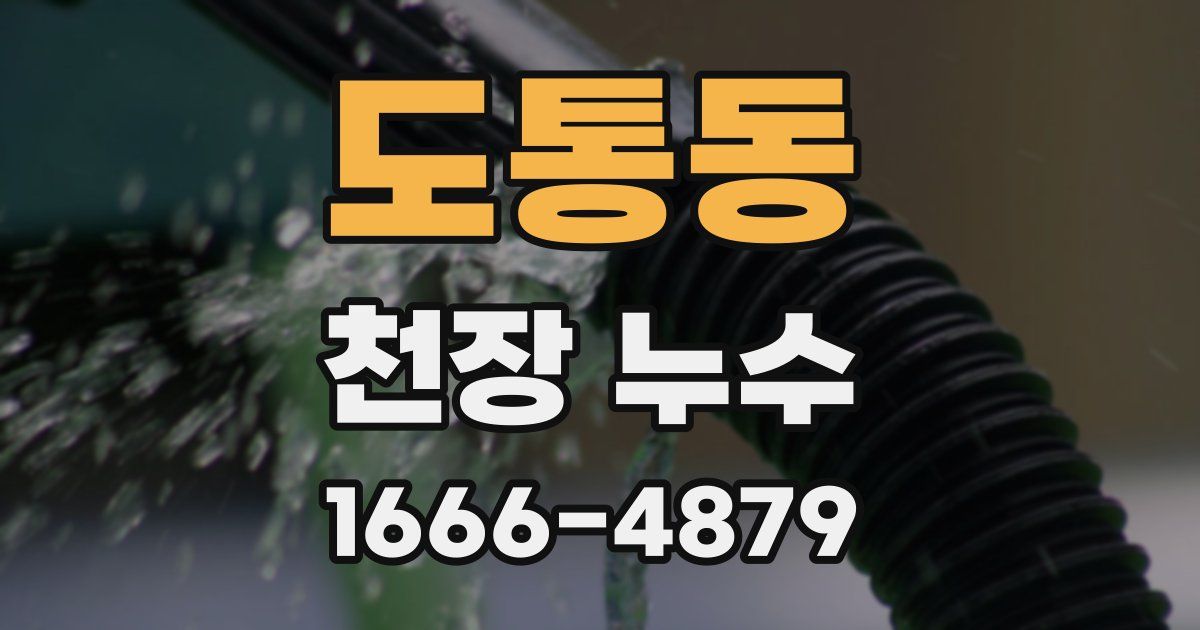 도통동 천장 누수
