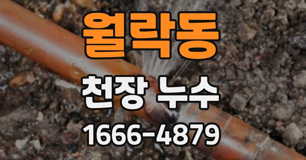 월락동 천장 누수