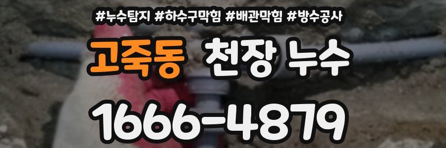 고죽동 천장 누수