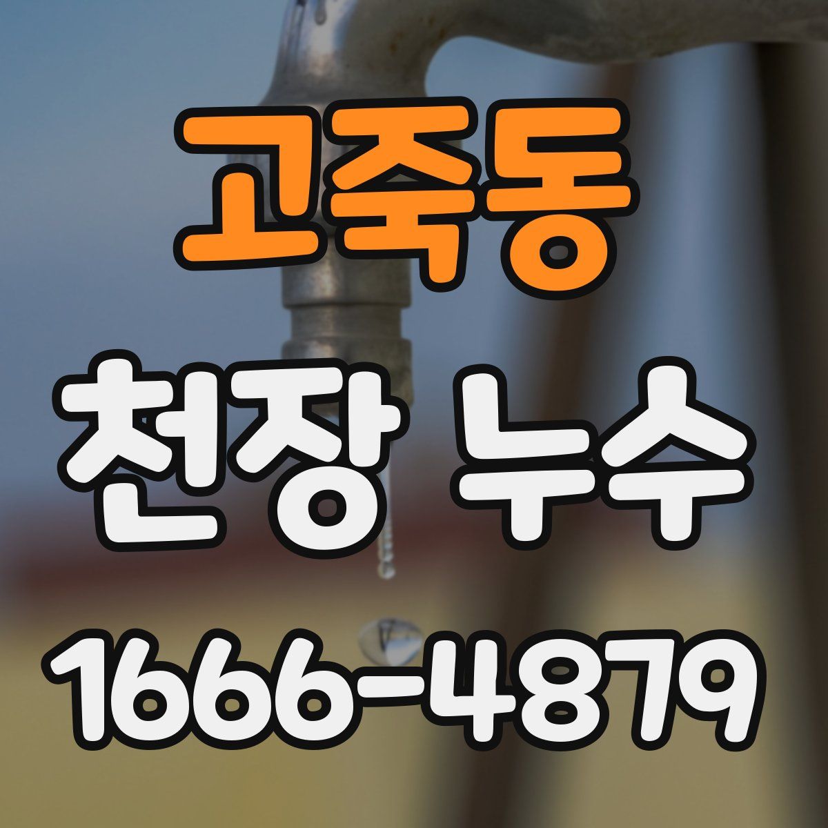 고죽동 천장 누수