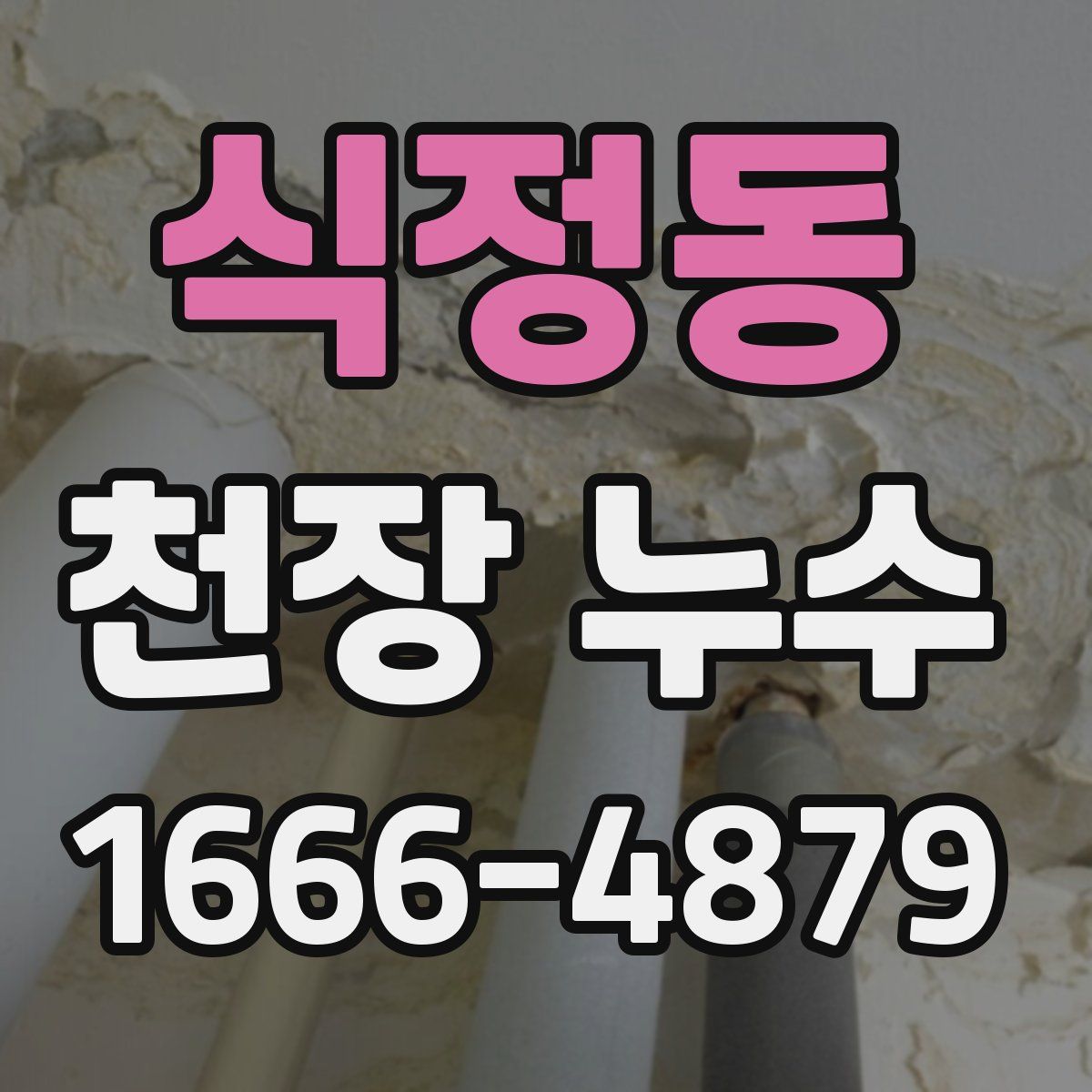 식정동 천장 누수
