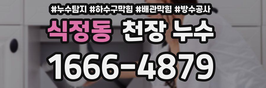 식정동 천장 누수
