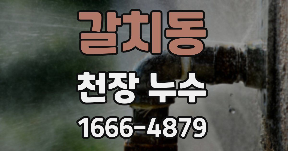 갈치동 천장 누수