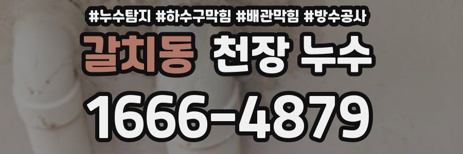 갈치동 천장 누수