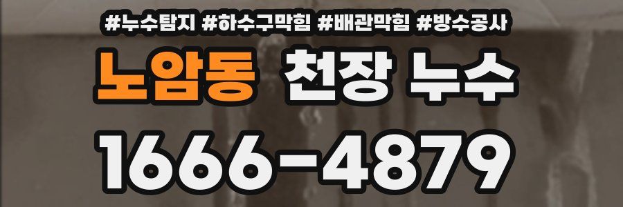 노암동 천장 누수