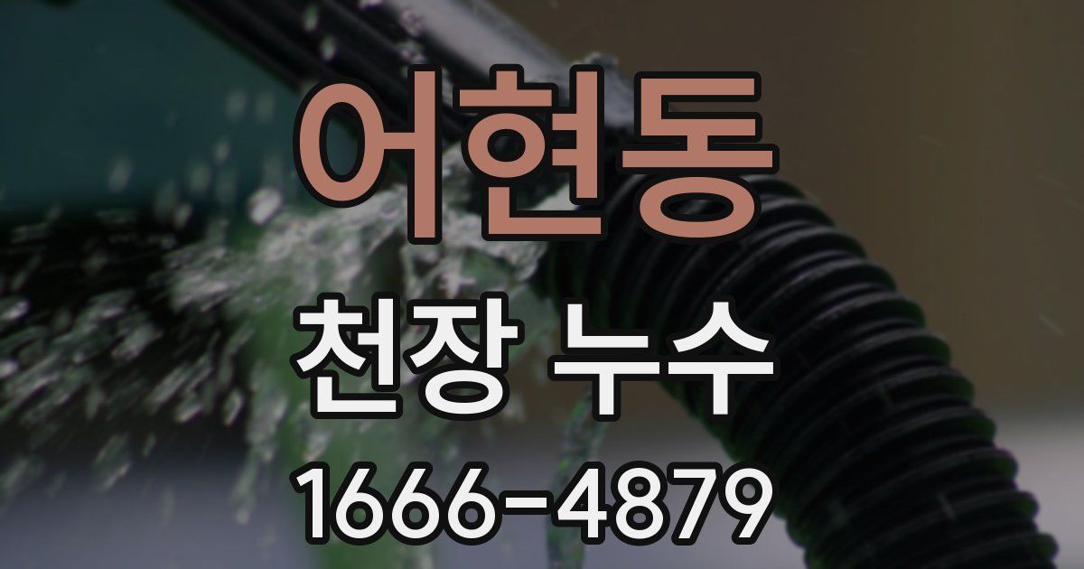 어현동 천장 누수