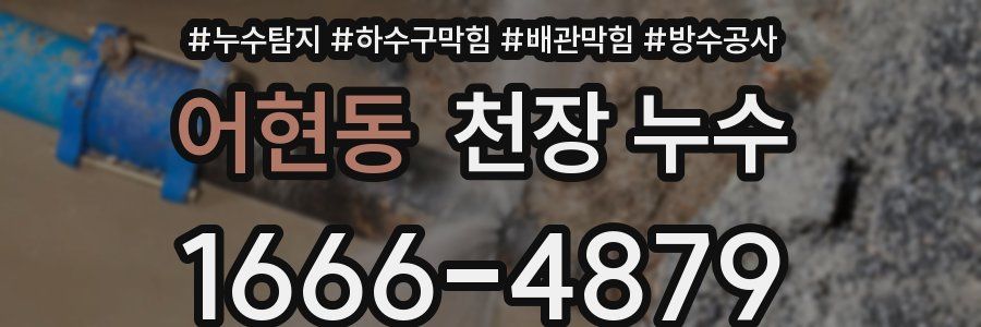 어현동 천장 누수